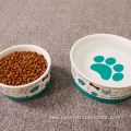 Ring Non-slip Design Fashion Printed Ceramic Dog Bowl